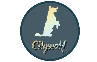 citywolf dog trainer